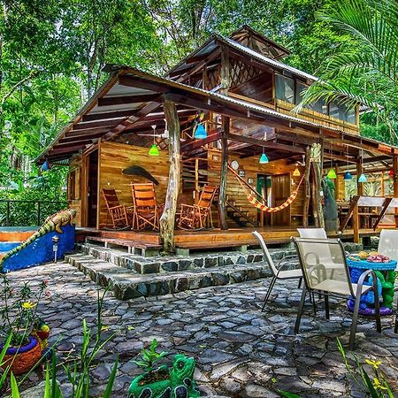 Congo Bongo Ecovillage Costa Rica Puerto Viejo de Talamanca Dış mekan fotoğraf