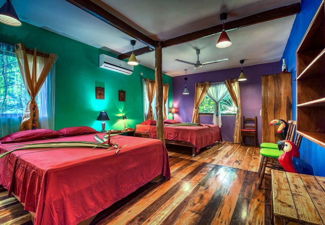 Congo Bongo Ecovillage Costa Rica Puerto Viejo de Talamanca Dış mekan fotoğraf