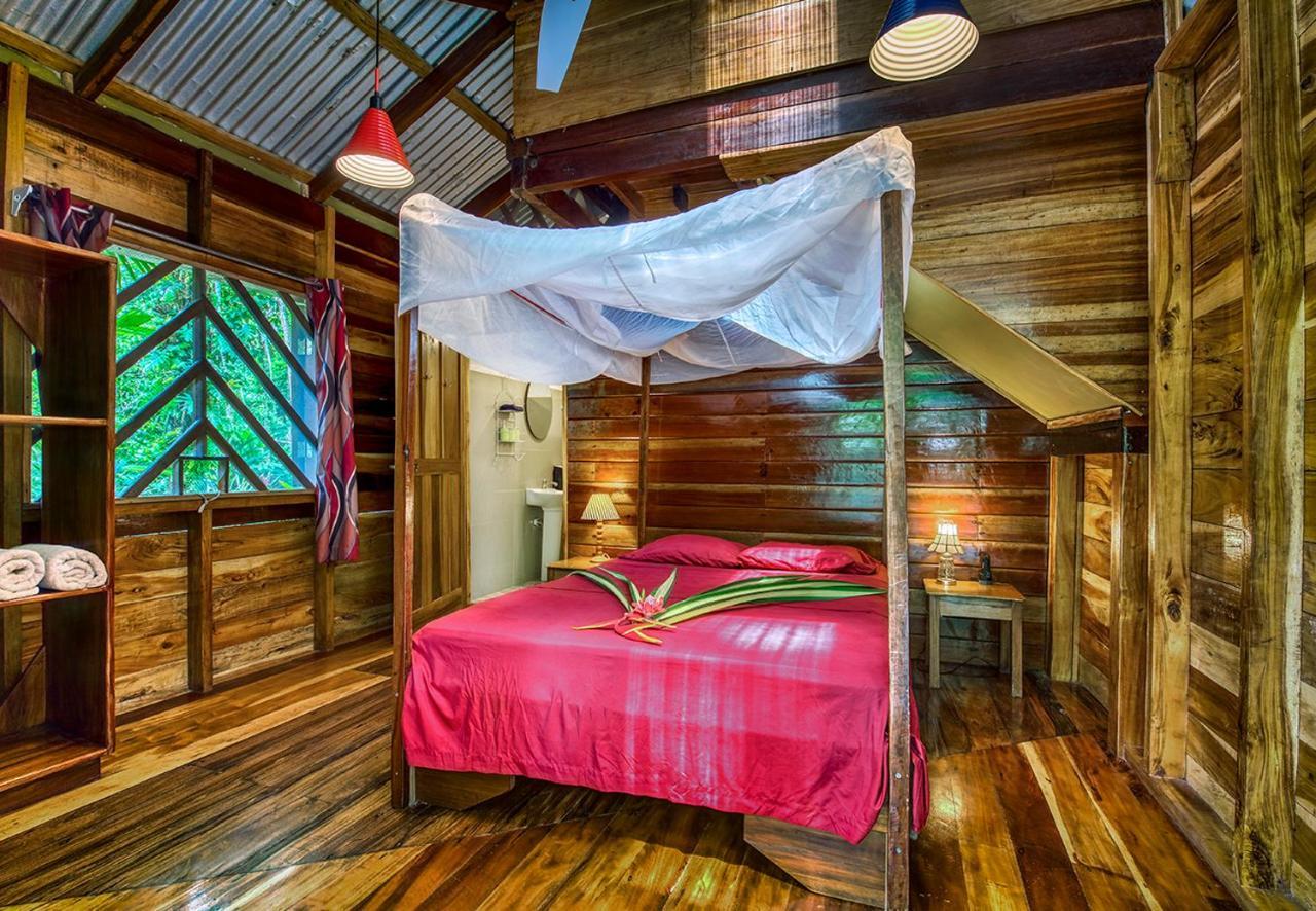 Congo Bongo Ecovillage Costa Rica Puerto Viejo de Talamanca Dış mekan fotoğraf
