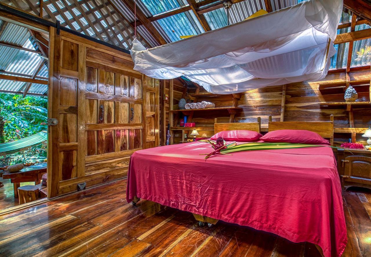 Congo Bongo Ecovillage Costa Rica Puerto Viejo de Talamanca Dış mekan fotoğraf