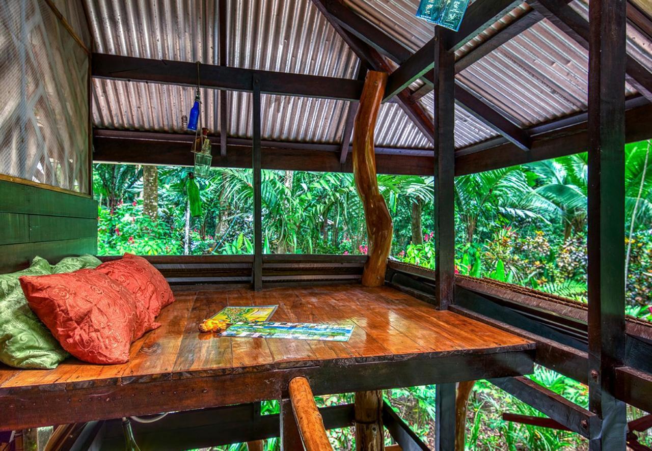 Congo Bongo Ecovillage Costa Rica Puerto Viejo de Talamanca Dış mekan fotoğraf
