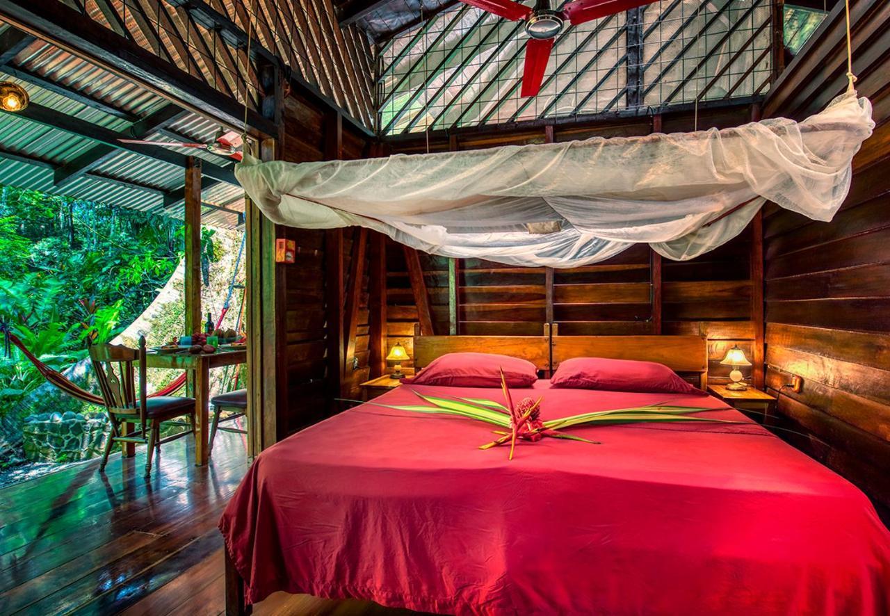 Congo Bongo Ecovillage Costa Rica Puerto Viejo de Talamanca Dış mekan fotoğraf