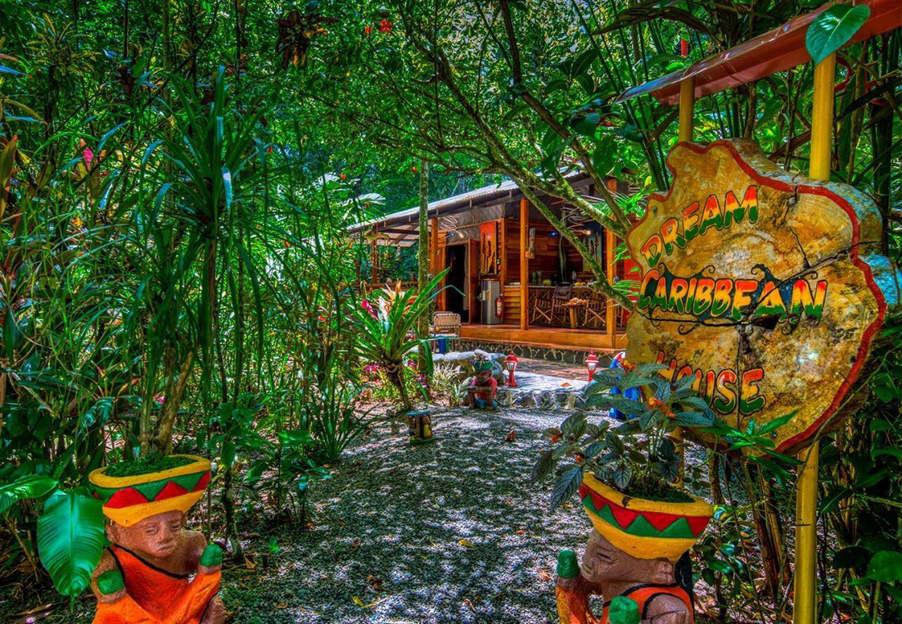 Congo Bongo Ecovillage Costa Rica Puerto Viejo de Talamanca Dış mekan fotoğraf