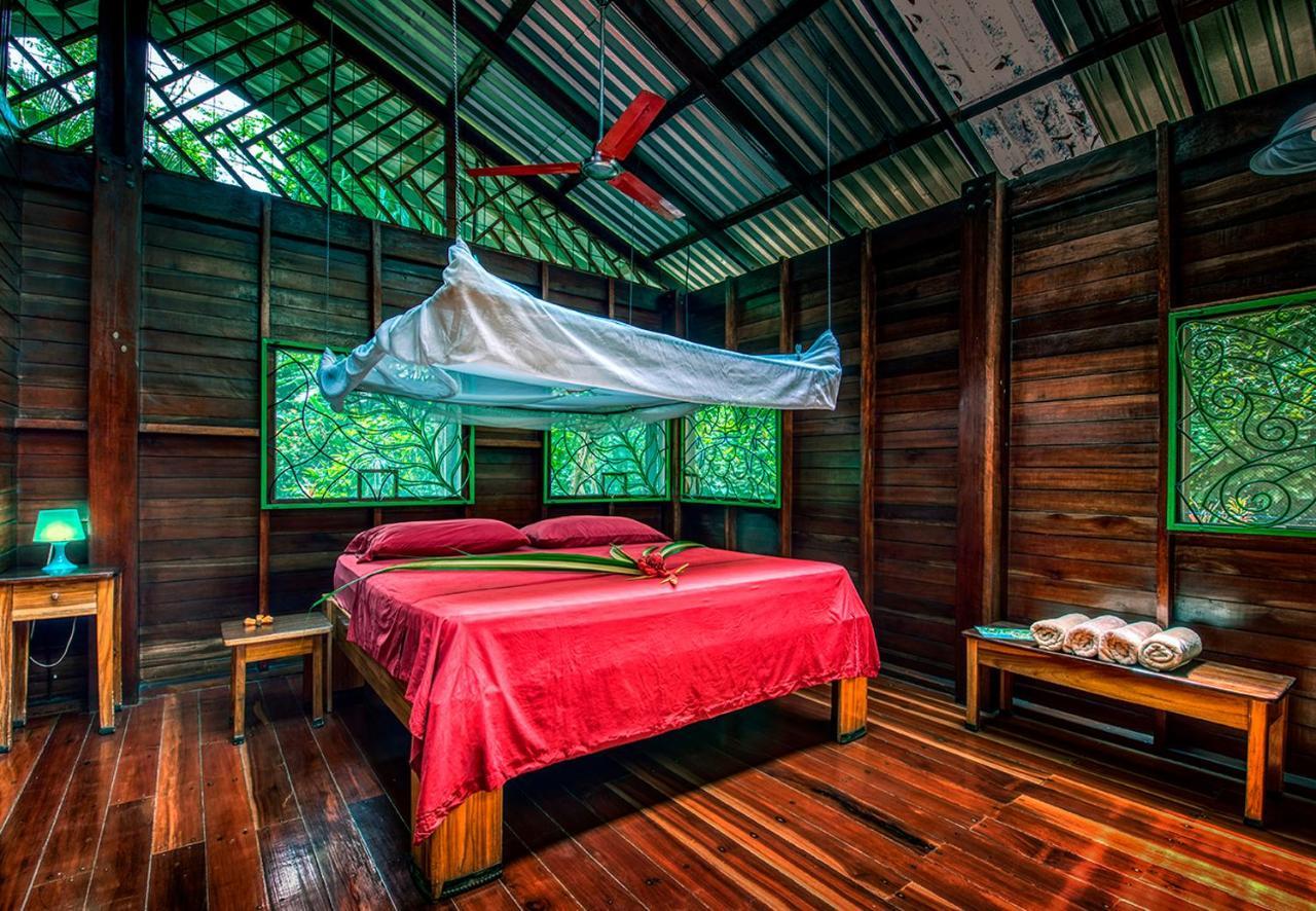 Congo Bongo Ecovillage Costa Rica Puerto Viejo de Talamanca Dış mekan fotoğraf