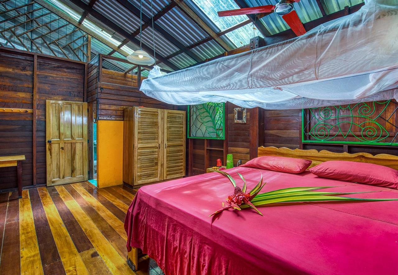 Congo Bongo Ecovillage Costa Rica Puerto Viejo de Talamanca Dış mekan fotoğraf