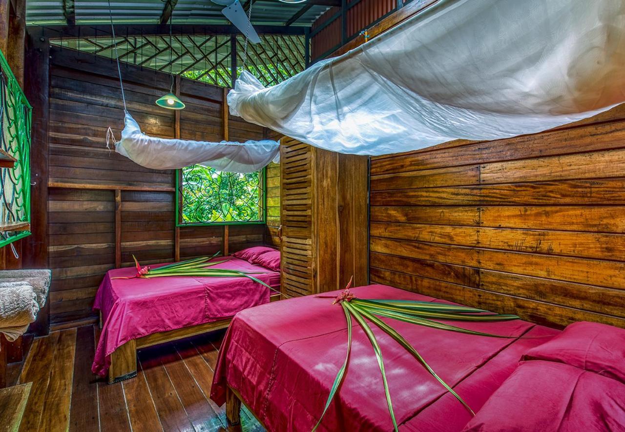 Congo Bongo Ecovillage Costa Rica Puerto Viejo de Talamanca Dış mekan fotoğraf